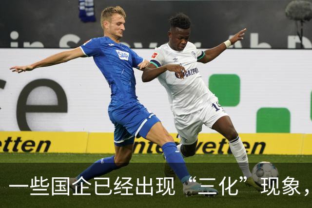 一些国企已经出现“三化”现象，并且这种现象呈现出愈发严重态势