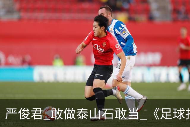 严俊君 敢做泰山石敢当 《足球报》的诞生