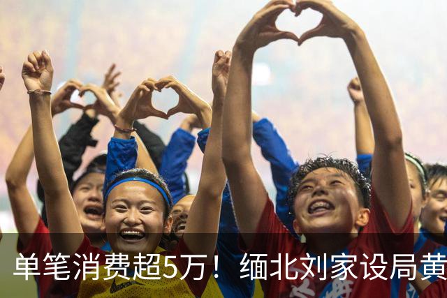 单笔消费超5万！缅北刘家设局黄赌毒“收割”金主