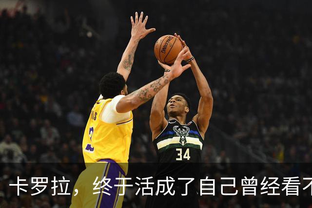 卡罗拉，终于活成了自己曾经看不上的样子