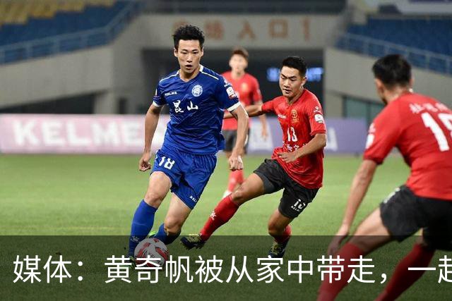 媒体：黄奇帆被从家中带走，一起被带走的还有其子黄然非