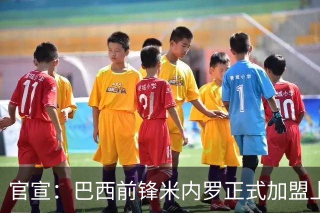 官宣：巴西前锋米内罗正式加盟上海申花