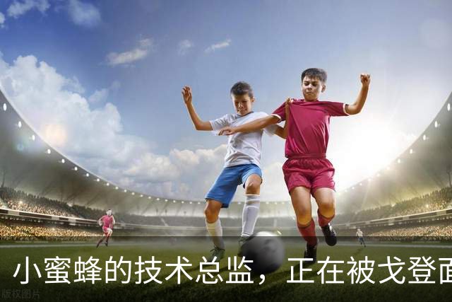 小蜜蜂的技术总监，正在被戈登面试