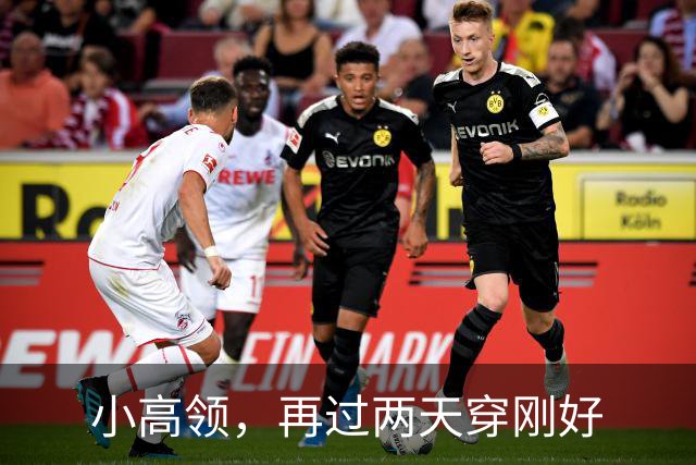 小高领，再过两天穿刚好