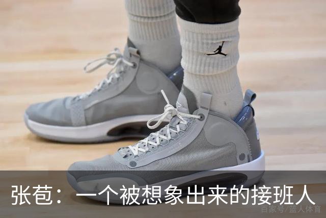 张苞：一个被想象出来的接班人