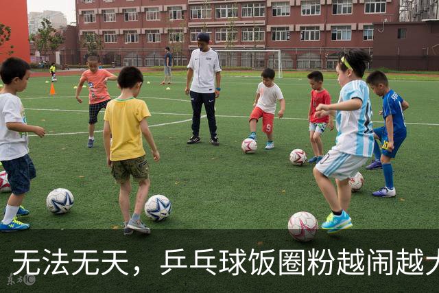 无法无天，乒乓球饭圈粉越闹越大，郑钦文成为新的攻击对象