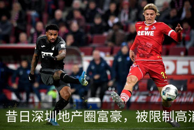 昔日深圳地产圈富豪，被限制高消费，其公司成被执行人