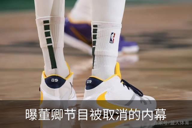 曝董卿节目被取消的内幕