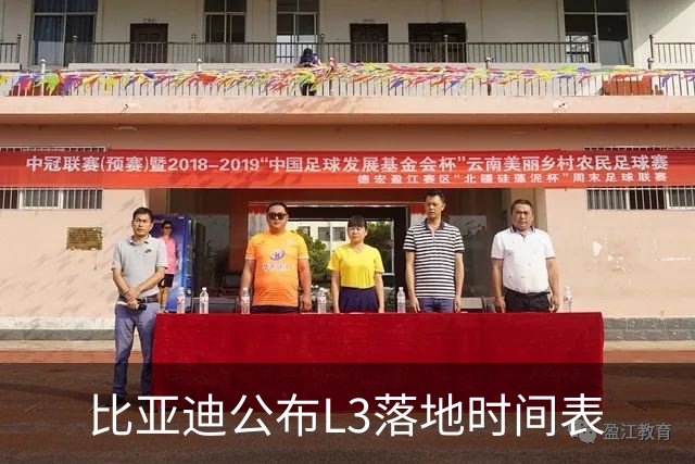 比亚迪公布L3落地时间表
