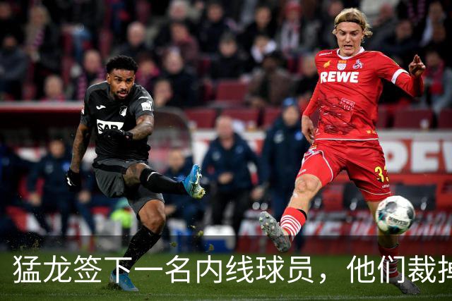 猛龙签下一名内线球员，他们裁掉了之前手持双向合同的锋线新星？