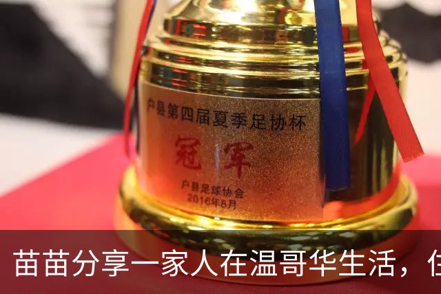 苗苗分享一家人在温哥华生活，住的是别墅，只带老大老二没带老三