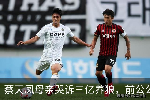 蔡天凤母亲哭诉三亿养狼，前公公庭上一声冷笑