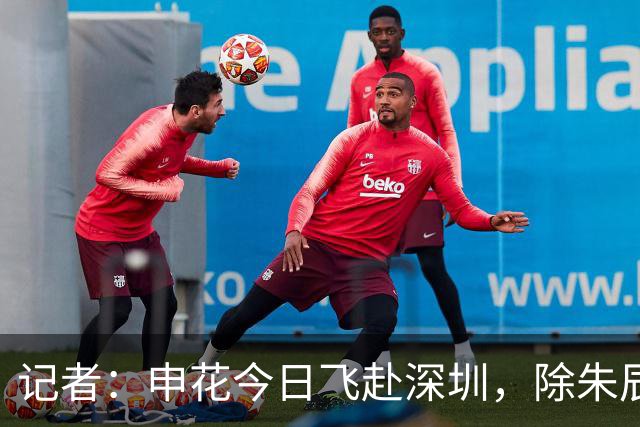 记者：申花今日飞赴深圳，除朱辰杰盖伊等伤员外几乎全员出征