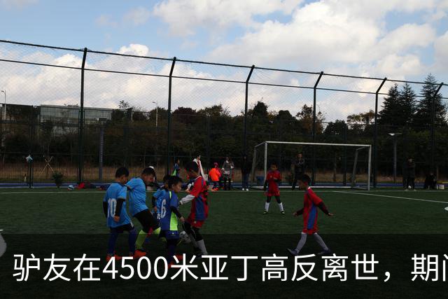 驴友在4500米亚丁高反离世，期间姐姐全网求免费直升机，牧民报价1万被她拉黑