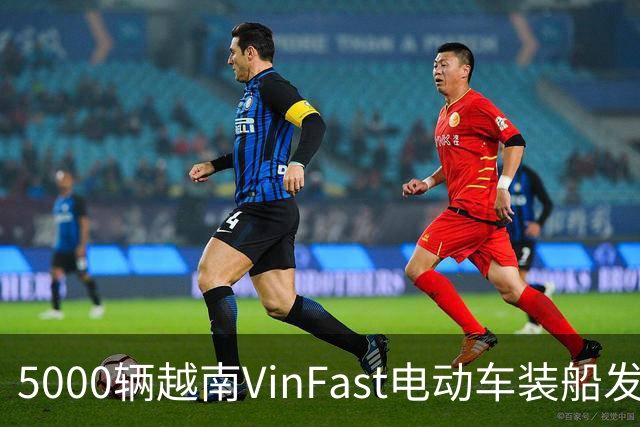 5000辆越南VinFast电动车装船发欧洲与东南亚：中国车企不该轻视这个对手了